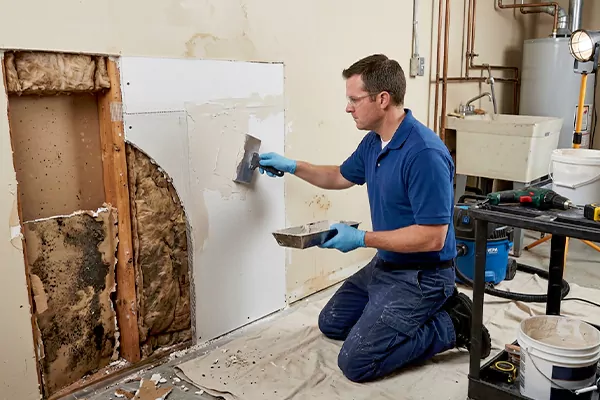 Mold and Drywall Repair Palm Desert