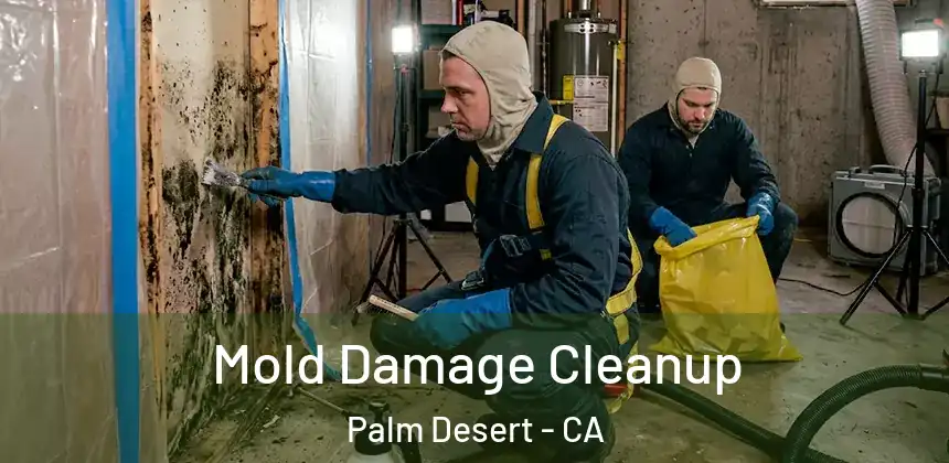  Mold Damage Cleanup Palm Desert - CA