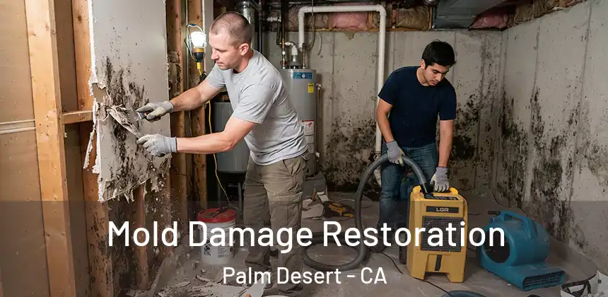  Mold Damage Restoration Palm Desert - CA