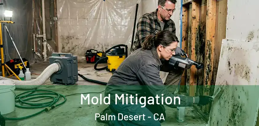 Mold Mitigation Palm Desert - CA