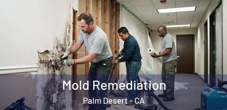  Mold Remediation Palm Desert - CA