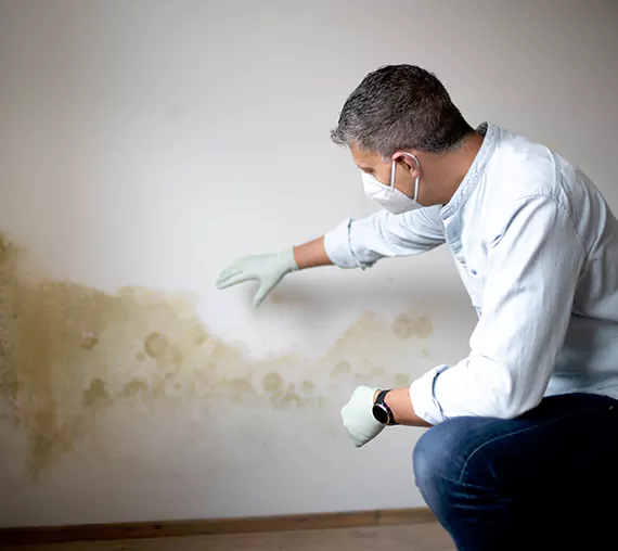 Mold Removal Service in Palm Desert, CA