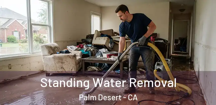 Standing Water Removal Palm Desert - CA