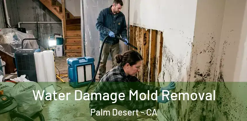  Water Damage Mold Removal Palm Desert - CA